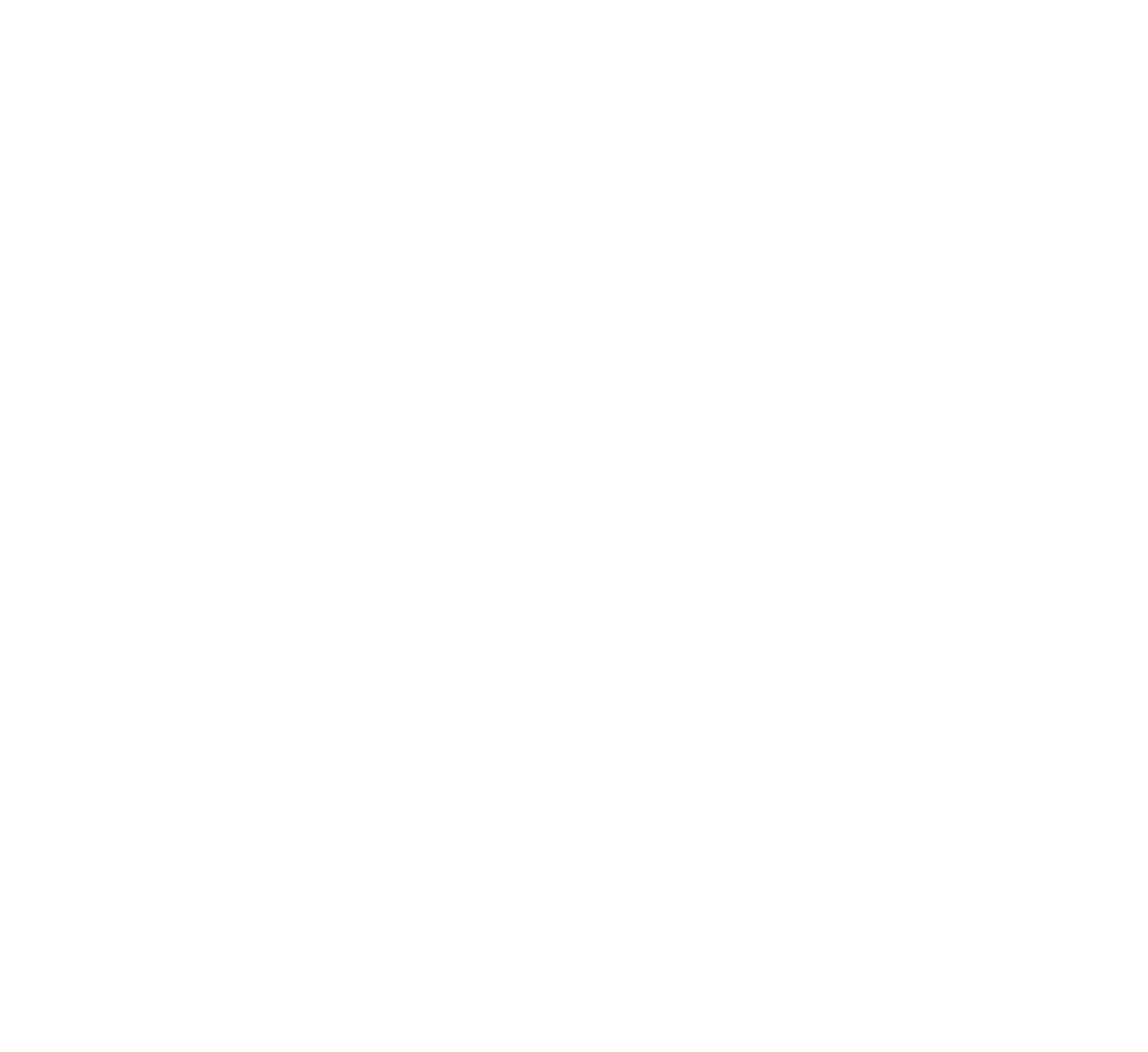 centrum-ev-logo-weiss